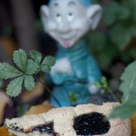 Crostata con marmellata di uva fragola